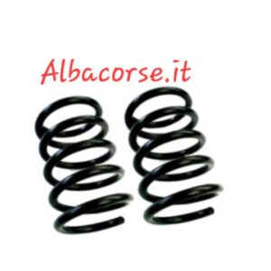 Coppia Molle sospensione posteriore 17cm fiat 500