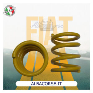 Coppia Molle sospensione  posteriore maggiorate 16cm fiat 500