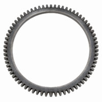 Anello dentato industriale in acciaio