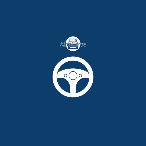 Tirante Schienale Fiat 500