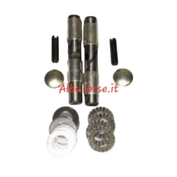 Kit revisione fuselli con cuscinetti fiat 500/126