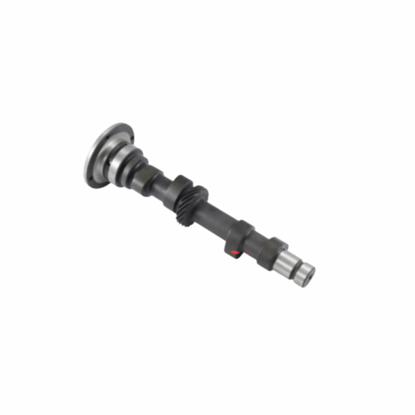Albero a Camme Originale in Ghisa per Fiat 500