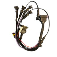 ALC-0302 CABLAGGIO PER CENTRALINA ROYAL-EFI BASIC 2 INIETTORI